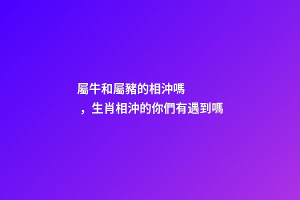 屬牛和屬豬的相沖嗎，生肖相沖的你們有遇到嗎